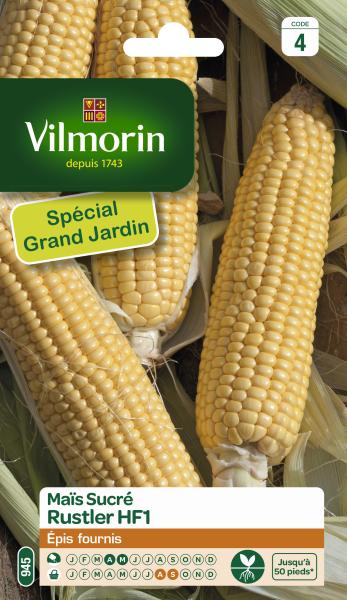 Potagères - Maïs Sucré Rustler HF1 - Grand Modèle - Graines d'Exception - face recto
